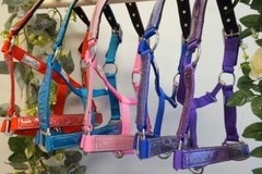 Premium HORSE Padded Glitter Bling Tape 5 pretty color Nylon Halter SET o/5 or 1