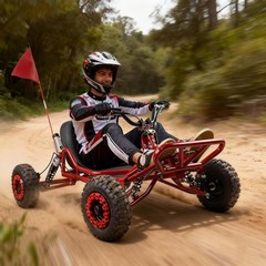 Electric Go Kart 2000W Motor Go Kart Premium Steel Tubular Frame 3 Speed 30MPH