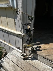 Bear charge right hand compound bow 70lbs