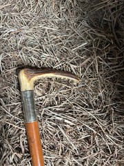 Vintage Fox Hunting Antler Handle Riding Crop