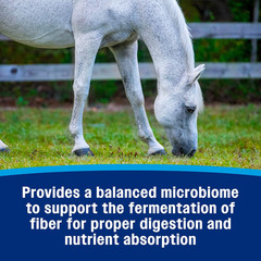 Hindgut Stabilizer Pellets, Daily Digestive & Immune Supplement for Horses Helps