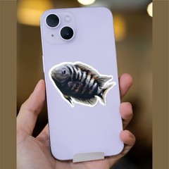 Black Convict Cichlid Sticker | Fish Sticker | Laptop Sticker
