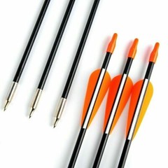 12Pcs 31inch Fiberglass Practice Arrows for Archery Target Shooting Recurve Bows
