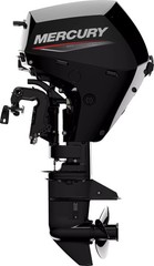 NEW MERCURY 20EPT EFI OUTBOARD 4S ENGINE W/ 3 YR WARRANTY