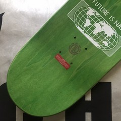 ELEMENT Skateboard Landscape South America Deck Future Is Nature Beach Litter
