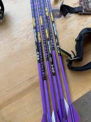 Hoyt Vicxen Compound Bow Right Hand
