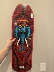 Powell Peralta 10 in x 30 in Vallely Elephant Skateboard Deck – Red