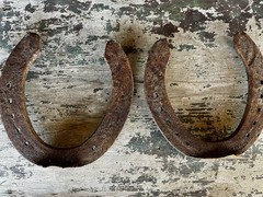 Hand-Forged Pair of 2 Studded Cast Iron Lucky Draft Horseshoes-Farmhouse Decor