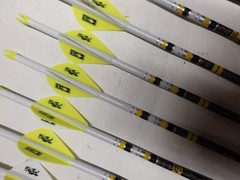 @NEW@ 12- Victory Archery VAP TKO Elite 350 Carbon Dip/Crested Arrows
