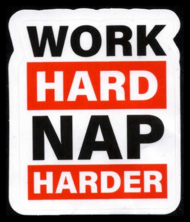 Work Hard Nap Harder Sticker 3 Inches x 2 Inches Skateboard Decals