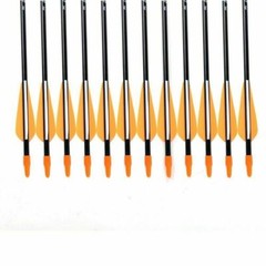 12Pcs Archery 31″ Fiberglass Arrows +/or Quiver for Compound Recurve Bow Hunting