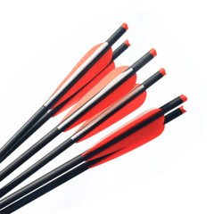 12Pcs 20» Archery Carbon Crossbow Bolt Arrows+12Pcs 100Grain Broadheads Hunting