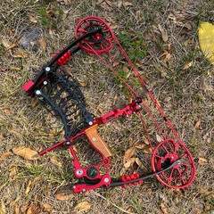 Dual-use Compound Bow Kit 30-70lbs Steel Ball Arrows Archery Outdoor Shoot RH LH