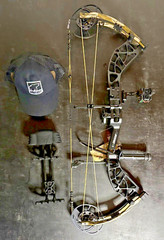 Bear Archery Whitetail INT RTH Right Hand 55 to 70 Pounds Black Bottomland New