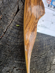 Vintage Wing Archery Gull recurve 40# zebra