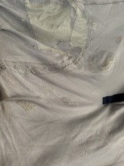 75” Bucas Buzz Off Full Neck Horse Fly Sheet w/Belly Protection – Used