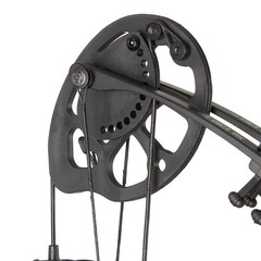 Junior 10-30lbs Compound Bow Archery for Youth Beginner Target Shooting Practice