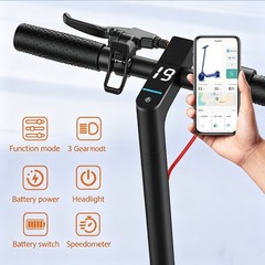 LADPED Adult Electric Scooter W/luggage seat City Commuter E-Scooter 15Miles