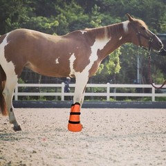 2-Pack Hoof Soaking Boots for Effective Equine Hoof Treatment – Large Size