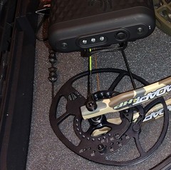 Left-Handed Bear Adapt 2+ HP (RTH)