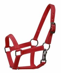 BLACK GREEN PINK PURPLE RED Nylon Adj Halter w Clip MINI Horse or PONY 5946