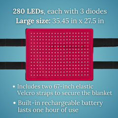 GlowLine Red / Near-Infrared Light Therapy Large Back Pad for Horses, 19×21 inch