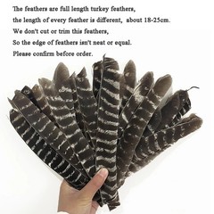 50X Archery Full Length Arrow Feathers Fletches Turkey Fletching Shaft DIY RW LW