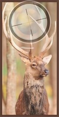Whitetail Big Buck Target Cornhole Bag Toss Wrap