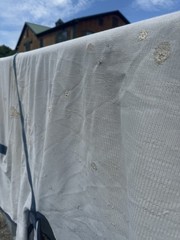 81” Bucas Buzz Off Full Neck Horse Fly Sheet – Used