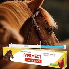 NEW 10 Pack New Paste Wormer Horse Dewormer Apple Flavor US Free Shipping