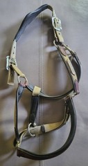 LeMieux Capella Halter – Full