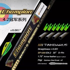12pcs Pure Carbon Arrows SP400-1600 0.001″ ID4.2mm Archery Bow Target PANDARUS