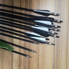 Archery 30″ Fiberglass Arrows Practice & Hunting Quiver for Compound Recurve Bow