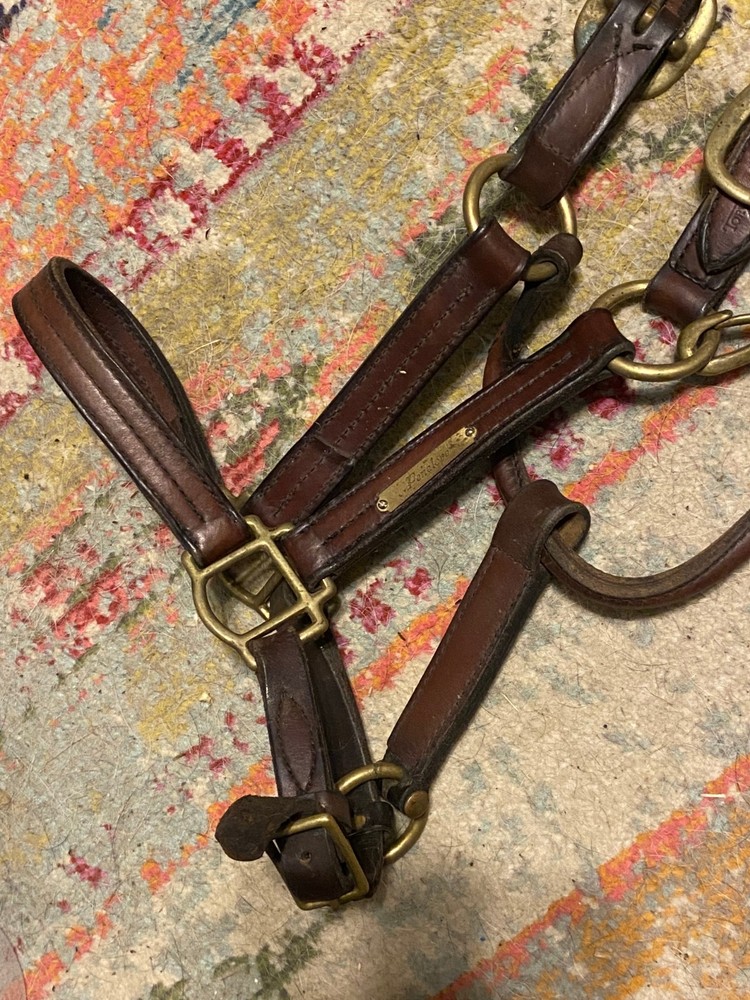 Tory leather horse halter soft english western FREE SHIPPING
