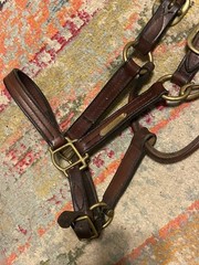 Tory leather horse halter soft english western FREE SHIPPING