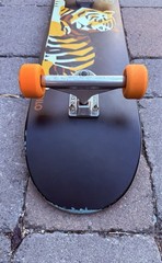 Almost Skateboards John Dilo Animals Complete Skateboard Independent Bones Swiss