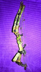 Hoyt XT2000 SuperTec RH Bow 60-70 LBS 29”DL *Perfect Condition!* + 28″ Cams
