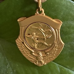 Vtg Gold Tone Archery Archer & Eagle Sagittarius Shield Shaped Medal Charm Italy