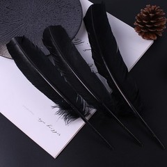 24Pcs Black Turkey Feathers 10~12in Long,Beautiful Feather for Crafts 26-31cm,Bu
