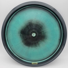 Discraft Paul McBeth 5x Esp Buzzz 177+