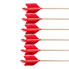 32″ Archery Flu-Flu Arrow 8.5mm Traditional Wooden 4 Turkey Feather Longbow Hunt
