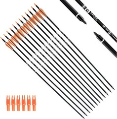 High-Quality 30-Inch Carbon Arrows with Nickel Plated Tips – Archery Essentials
