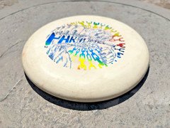 Gateway Warlock 174g – Custom «PAK Plastics» Rainbow Foil Stamp – Firm Flex Putt