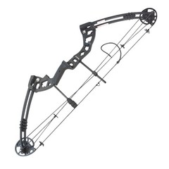 30-55lbs Compound Bow Archery 310FPS Pulley Bow Arrow Set RH Hunting Shooting