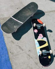 Impala Saturn 8.25″ Robin Eisenberg LIMITED EDITION Skateboard Complete – New!