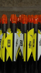 New Easton Axis 340 Spine 5mm Arrows- 10.7 GPI-Cut/Insert Av,1 Dozen (12 arrows)