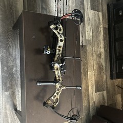 Bear Archery Vast (RTH) Compound Bow Camo with Arrows, Quiver, and Sight