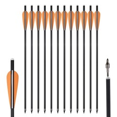 Archery Carbon Arrows 20in Crossbow Bolts +/or Arrow Quiver Bow Hunting Practice