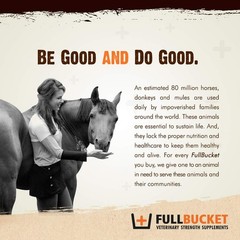 FullBucket Equine Probiotic Granules with Saccharomyces boulardii for Daily D…