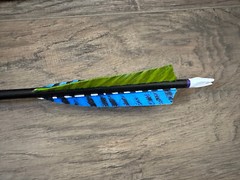 (12) Rose City PO Cedar NIGHTFALL 5S 11/32″ PAINTED & MATCHED 55-60# Arrows [v5]